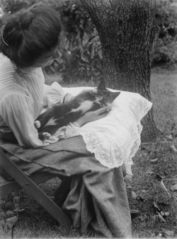 catsofslv:  Mrs Batten & Kitten, 1904. Mark James Daniel,