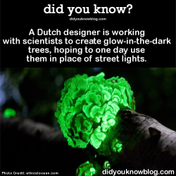 did-you-kno:  A Dutch designer is working with scientists to
