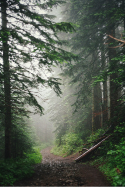 mystic-revelations:  till the light pulls you in By Danielle