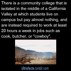 ultrafacts:  Deep Springs College Source  Follow Ultrafacts for