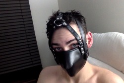 paddingandpoverty:  Soooo, mah muzzle arrived :D Crappy photos,