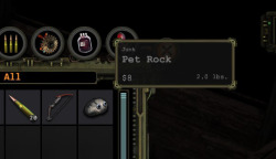 a Pet Rock? Where have I heard that before?