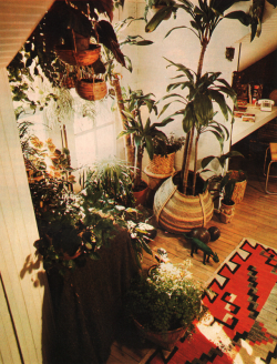 bilbao-song:  Indoor plants featured in the Better Homes and