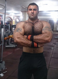 Follow my two hairy men blogs:http://sambrcln.tumblr.comhttp://hairysex.tumblr.com
