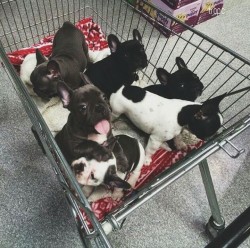 Heaven