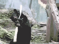 blazepress:  Ninja bear.