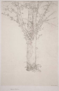 poeticasvisuais:  Odilon Redon, Tree 1892 