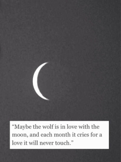i-smile-at-the-stars:  🌙 on We Heart It.