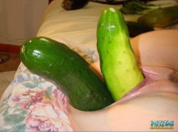  pussymodsgalore Pussy Stretching Veggie Competition - Cucumber