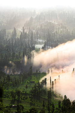 intothegreatunknown:Indonesian morning glory | Mount Bromo, Indonesia