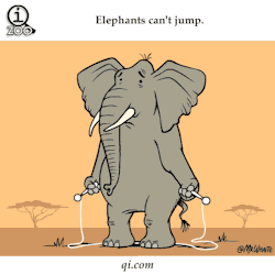 ¿Sabías que los elefantes no pueden saltar?