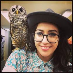 I met some owls! (at フクロウカフェもふもふowlcafeshinjuku)