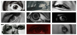 kino-obscura:  EYES IN FILM: 2014 EDITION “I am eye. I