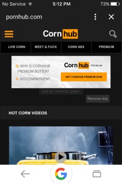 Happy April fools day to every perv on pornhub.  No jacking off