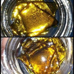 superxinck420:  Sour Grapes(Grape Ape x Sour Diesel) shatter