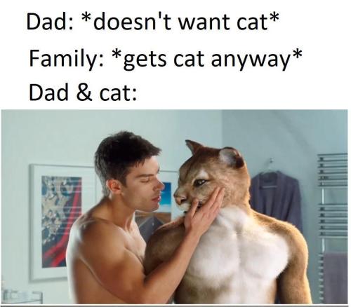 gay-irl:  gay🐱irl