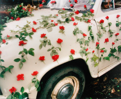 kafkasapartment:  A Decorated Car in the Flower Market, Calcutta,