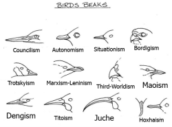 sad-commie: anarchist communism  Dove, you like bird posters