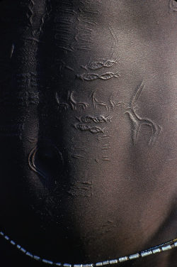 southsud:  Antelope, fish, and other scars on the torso of a