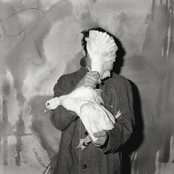 inneroptics:    Roger Ballen    