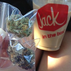 weedporndaily:  On my way home from @thecookieco408 got some