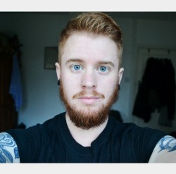 accio-aj:  Last day of the beard before trimming it back down…