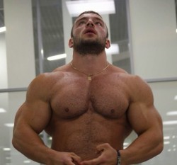 bodybuilderandmusclebears:Ivan Kochetkov