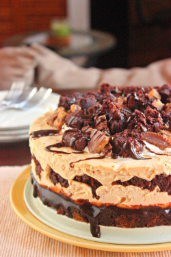 do-not-touch-my-food:  Peanut Butter and Brownie Cheesecake 