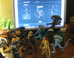 spooky-sutekh:  Xenomorphs are very important to me. 