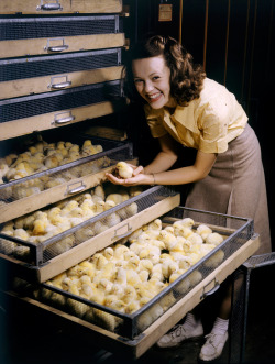 natgeofound:  Smiling young woman holds chick above chicken-filled