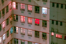 coolled:by elsa bleda