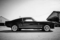 musclecarblog:  (via Ford Mustang Shelby GT500 by AlexaBrain