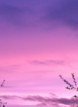 seethes:  the sky earlier n a gradient i made based off it