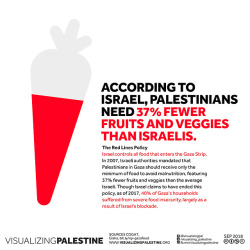 aishawarma: The Red Lines Policy Israel controls all food that
