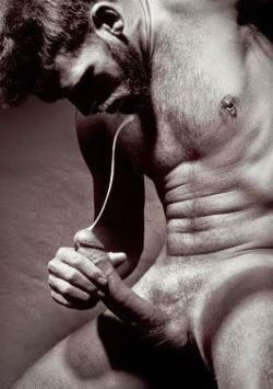 swiss-stallion:  timing collected from the net by SWISS STALLION