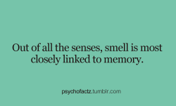 psychofactz:  More Facts on Psychofacts :)