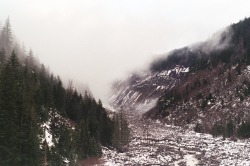 northwezt:  Mount Rainier, WA Flickr / Instagram 