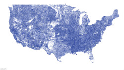 jtotheizzoe:  US rivers in the contiguous 48 states, assembled in vector ink from public USGS data by Nelson Minar. Itâ€™s like elegant porcelain, made of digital water. Iâ€™m amazed both that so much of the continent is covered by rivers, as well by