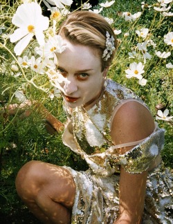 dailychloesevigny:  Chloë Sevigny photographed by Harley Weir