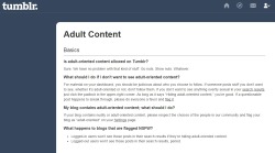 Yes, I did follow through.This is why I&rsquo;ve never really tagged/labeled anything NSFW.Â This is the link to the actual page so you can see for yourself.Â Tumblr - Adult ContentI also turned on the padlock on my search.One person squeaked through,
