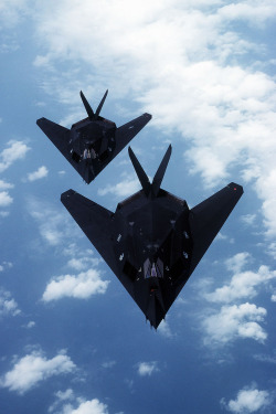 thrust-vectoring:  F-117 