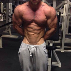 ocmscl:  muscleroidaddict: Photo