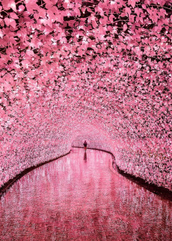 coiour-my-world:Sparkling in the rain – the illuminated tunnel