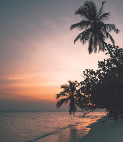 dom-ii:‘Maledives Sunset‘ by dom-ii