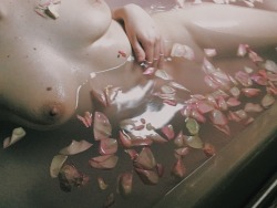 ccoconutcat:I felt like a princess during this bath 🛀
