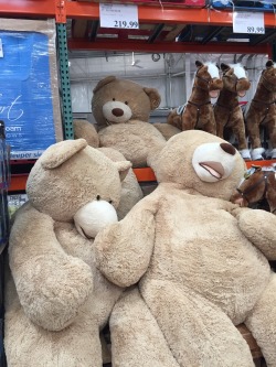 See I could be snuggling with one of these, in a babydoll teddy.