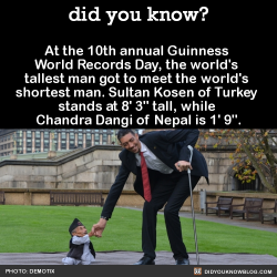 did-you-kno:  Dangi is the shortest adult human ever verified