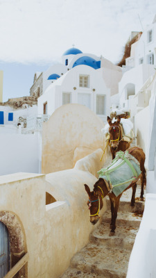 dreamingofgoingthere:  Santorini,Greece