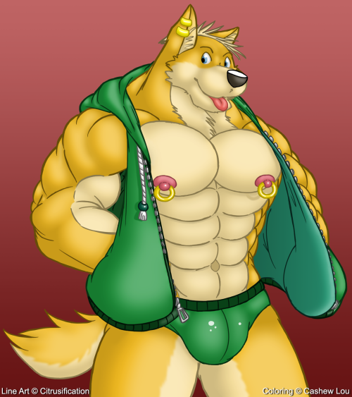 Carefree Wealthy Dog by Citrusification, colored by meI’ve been a fan of Citrusification’s muscle artwork for quite some time now, and I colored and shaded one of his sketches just for the fun of it. He has approved the final image, and has