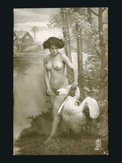 And here we have a naked woman chilling with a taxidermied swan